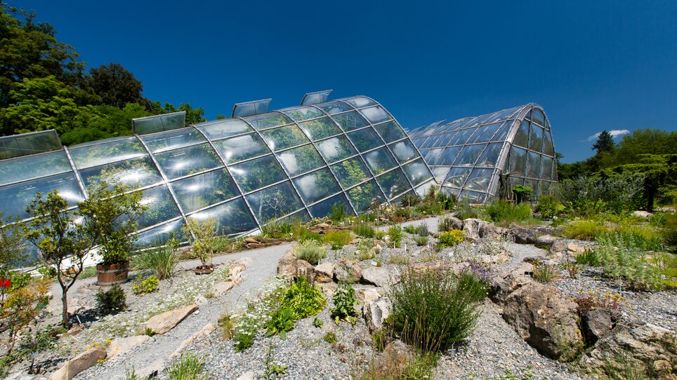 Innovative greenhouses surrounded by plants at the Botanical Garden in Graz. | © Graz Tourismus - Harry Schiffer