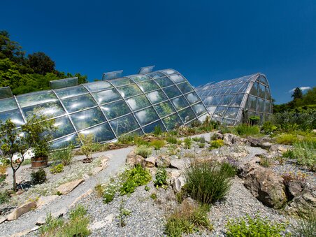 Innovative greenhouses surrounded by plants at the Botanical Garden in Graz. | © Graz Tourismus - Harry Schiffer