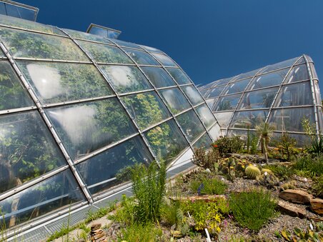 Greenhouses at the Botanical Garden in Graz under blue sky. | © Graz Tourismus - Harry Schiffer