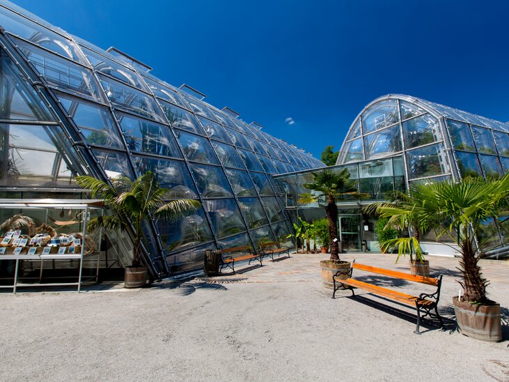 Glass architecture in the Botanical Garden in Graz with palm trees. | © Graz Tourismus - Harry Schiffer