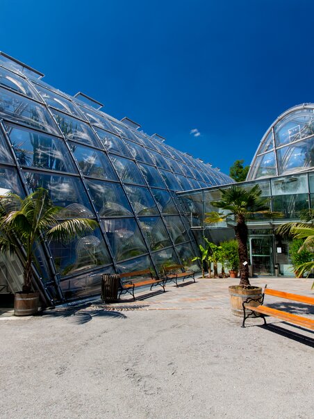 Glass architecture in the Botanical Garden in Graz with palm trees. | © Graz Tourismus - Harry Schiffer