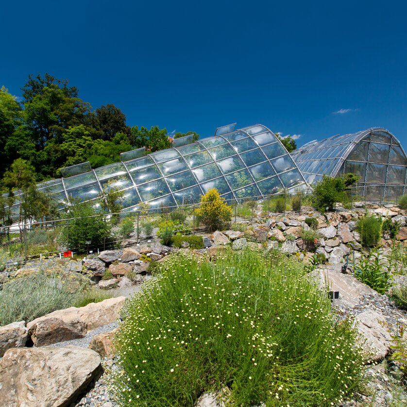 Botanical Garden Graz | © Graz Tourismus - Harry Schiffer