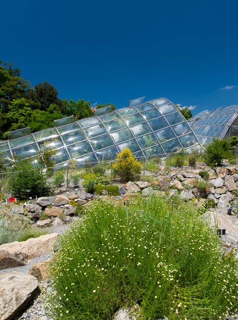The Botanical Garden in Graz featuring greenhouses and plant landscapes. | © Graz Tourismus - Harry Schiffer
