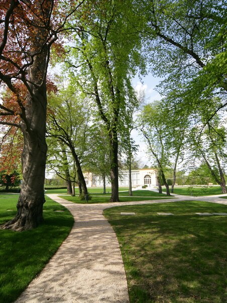 Spacious Burggarten in Graz featuring characteristic trees and pathways. | © Graz Tourismus - Harry Schiffer