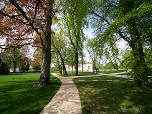 Spacious Burggarten in Graz featuring characteristic trees and pathways. | © Graz Tourismus - Harry Schiffer