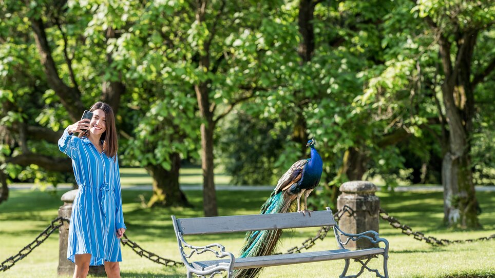 Frau macht Selfie mit Pfau im Schlosspark von Schloss Eggenberg. | © Graz Tourismus - Mias Photoart
