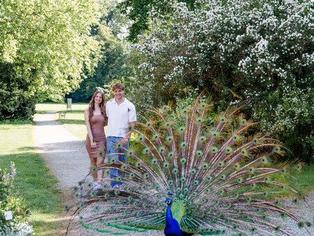 A couple poses in the palace park, a peacock spreads its feathers. | © Graz Tourismus - Mias Photoart