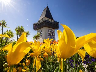 Colorful tulip flowers in front of the Clock tower of Graz. | © Graz Tourismus - Harry Schiffer