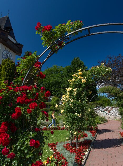 The clock tower on the Schlossberg in Graz, surrounded by a blooming garden. | © Graz Tourismus - Harry Schiffer