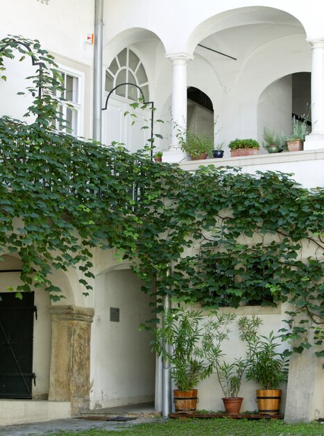 Ein ruhiger Innenhof mit Pflanzen und einer Eingangstür in Graz. | © Graz Tourismus - Harry Schiffer