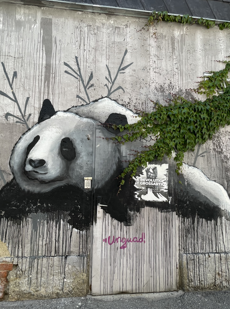Ein Graffiti eines Pandas auf einer Wand mit grünen Ranken. | © Anita Arneitz