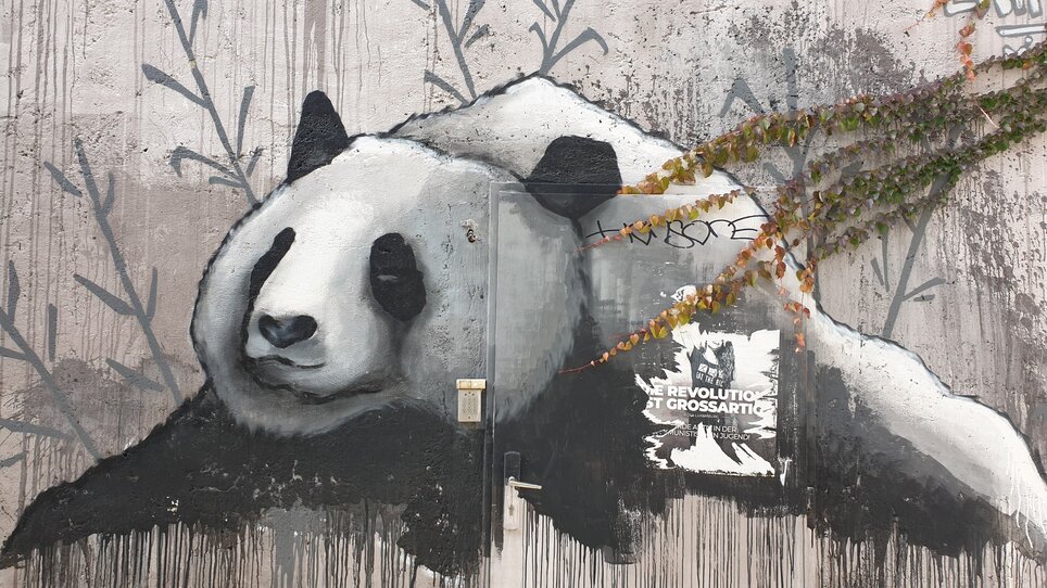 Ein Panda-Graffiti an einer Wand. | © Gudrun Krinzinger - Reisebloggerin