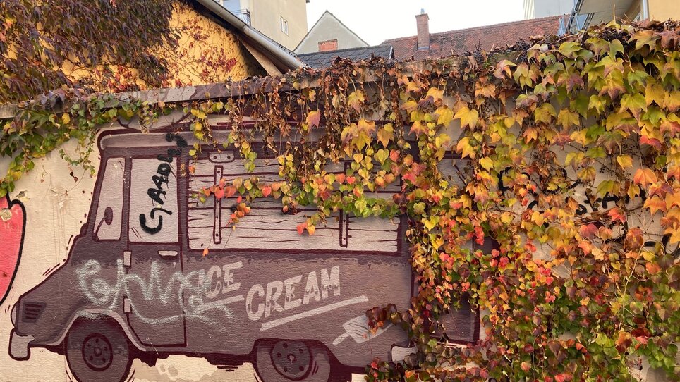 Ein Graffiti eines Eiswagens, überrankt von buntem Laub. | © Graz Tourismus - NA