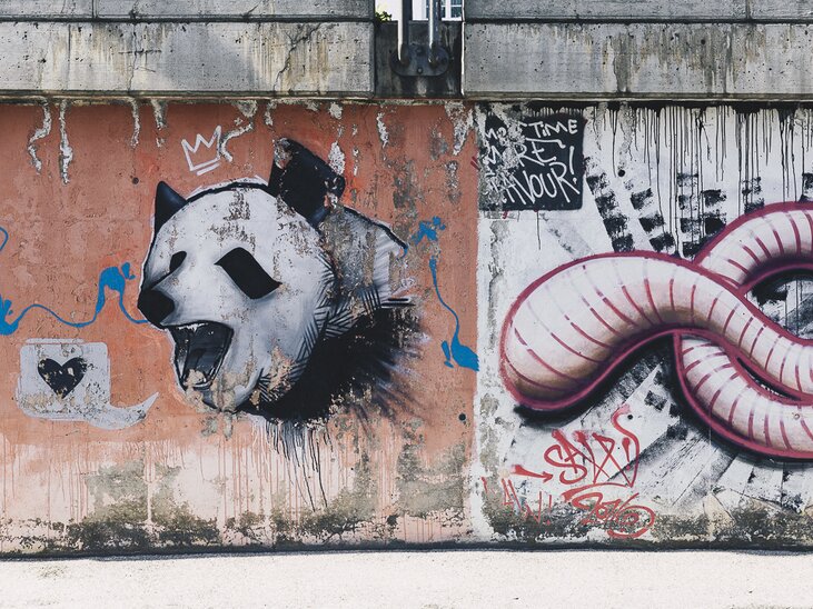 Wandmalerei mit einem Panda-Kopf und einem Wurm auf einer Mauer. | © Adeline Gressin