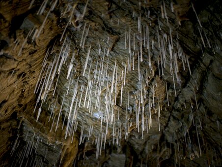 Blick auf die Stalaktiten in der Lurgrotte Peggau. | © Region Graz - Tom Lamm