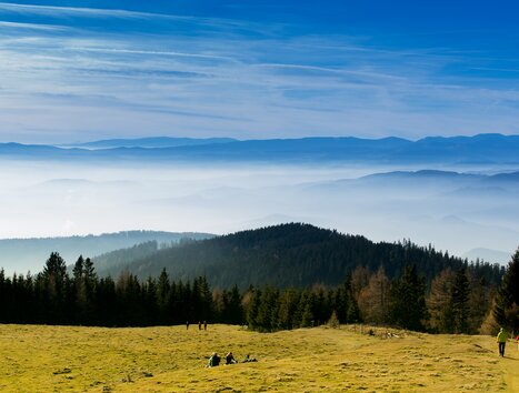 Wide landscape with trees and hills, overlooking the mountains. | © Region Graz - Harry Schiffer