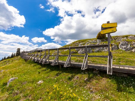A wooden walkway leads across a green meadow to a signpost. | © Region Graz - Harry Schiffer