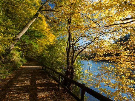Ein ruhiger Weg entlang eines Gewässers, umgeben von buntem Herbstlaub. | © Region Graz - Harry Schiffer
