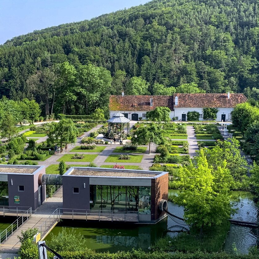 Tierwelt und Schloss Herberstein | © Steiermark Tourismus - Klein