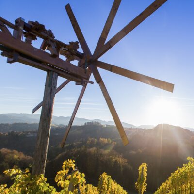 Weinberge bei Sonnenuntergang in der Südsteiermark. | © Steiermark Tourismus - Harry Schiffer