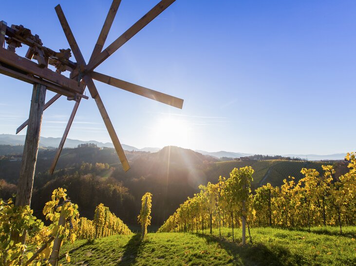 Weinberge bei Sonnenuntergang in der Südsteiermark. | © Steiermark Tourismus - Harry Schiffer