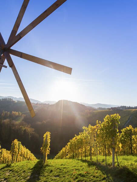 Vineyards at sunset in South Styria. | © Steiermark Tourismus - Harry Schiffer