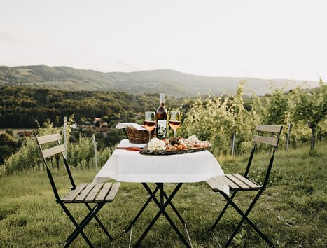 A table set with a traditional Styrian cold platter and two folding chairs in front of a vineyard – relaxed wine tasting in Schilcherland/southwestern Styria | © Schilcherland Steiermark - Nadine Geuter Photography
