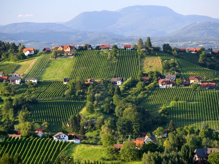 Rolling hills of the Schilcherland region with vineyards and traditional houses – a typical wine landscape in Western Styria, Austria. | © Steiermark Tourismus - Harry Schiffer