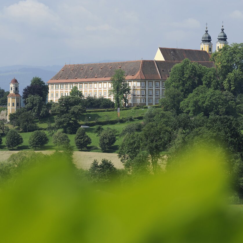 Blick auf Schloss Stainz mit Bäumen im Vordergrund | © Universalmuseum Joanneum - Nicolas Lackner