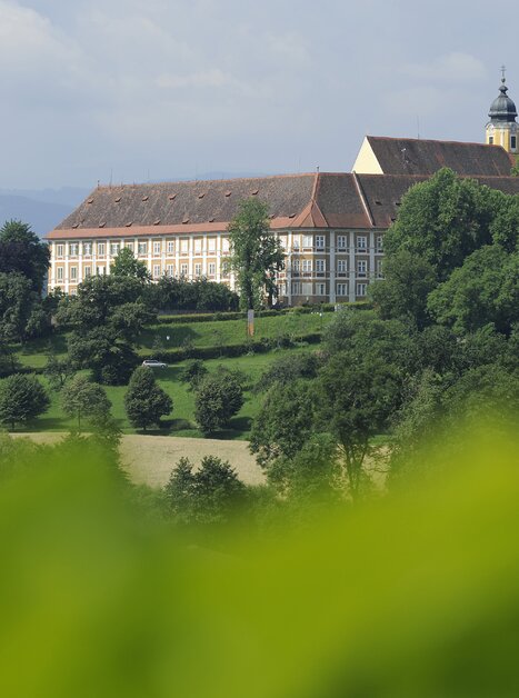 Blick auf Schloss Stainz mit Bäumen im Vordergrund | © Universalmuseum Joanneum - Nicolas Lackner