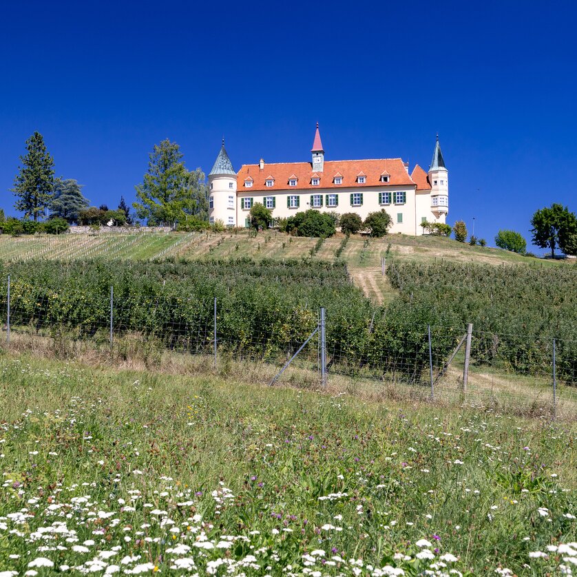 Der Weg ist das Ziel -  Den Buchkogel erwandern | © Graz Tourismus - Harry Schiffer