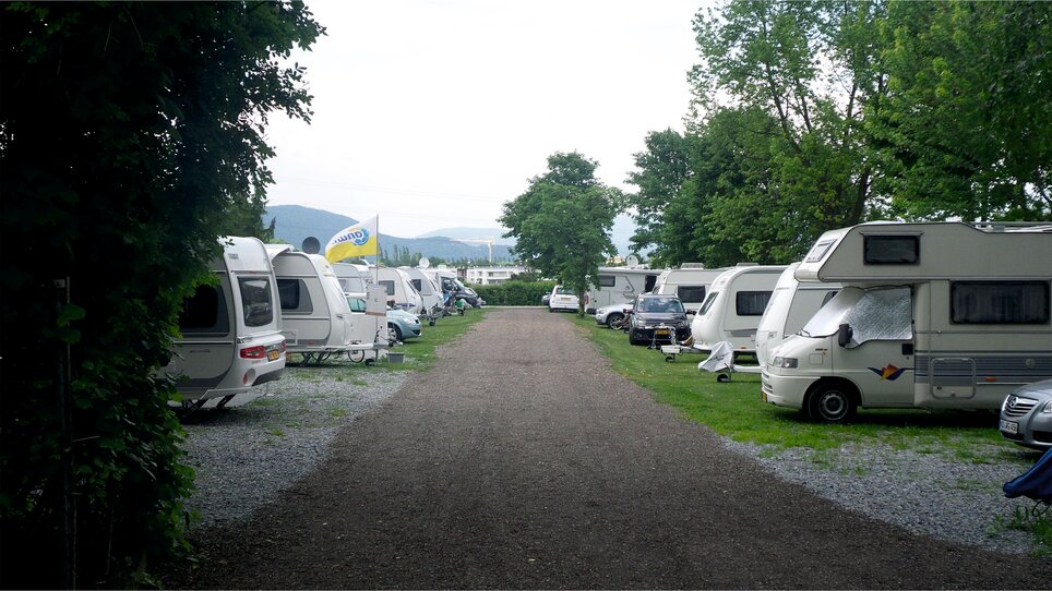 Blick auf den Reisemobil-Stellplatz Graz mit parkenden Fahrzeugen. | © Alfred Chyba