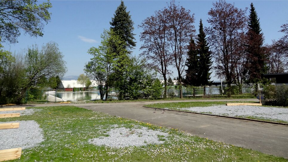 Blick auf den Reisemobil-Stellplatz Graz mit Bäumen und Wasser. | © Alfred Chyba