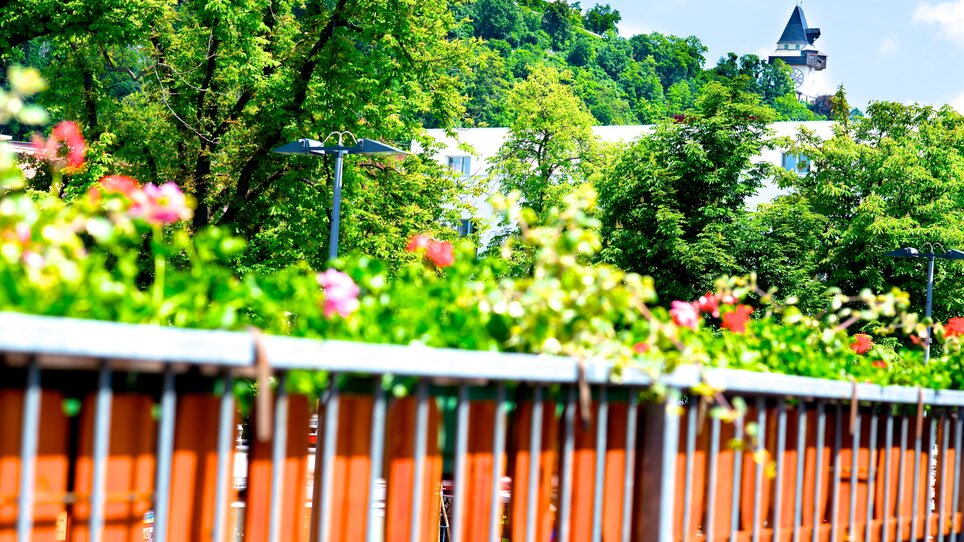 Flowers and the Clock Tower above Graz, taken at Gasthof Pension Zur Steirerstub'n. | © Zur Steirerstubn