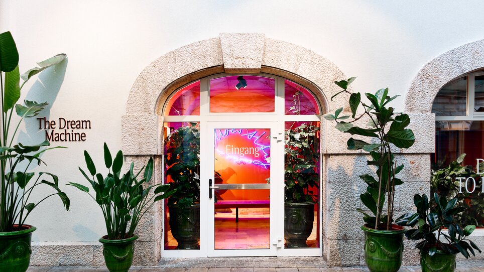 Eingang zur Dream Machine mit bunten Lichtern und Pflanzen.