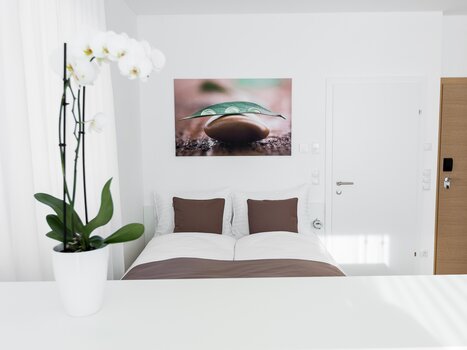 Camera doppia luminosa con grande letto e orchidea. | © sHome Hotel