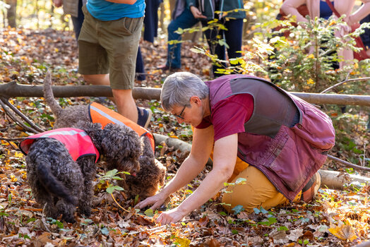 Trüffelwanderung 2024 | © Graz Tourismus - Harry Schiffer